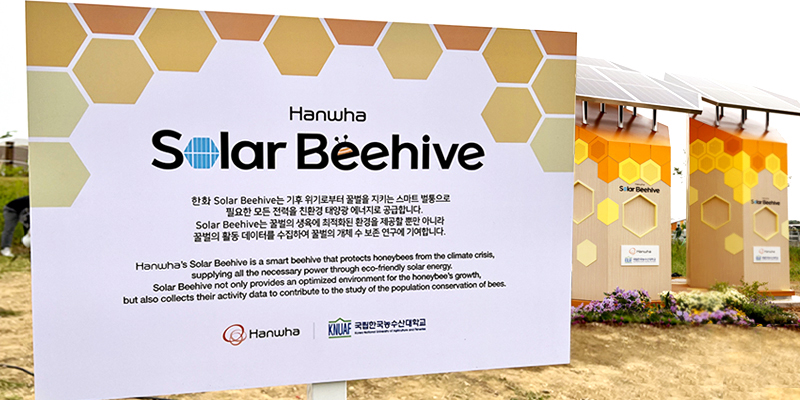 值此世界蜜蜂日之际，韩华在韩国农水产大学设置了太阳能蜂箱。